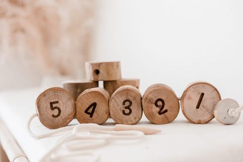 QTOYS - Tree Number Lacing Set